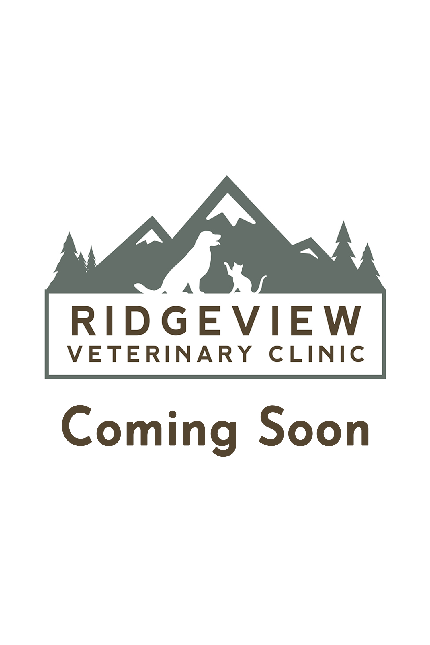 Coming Soon Placeholder