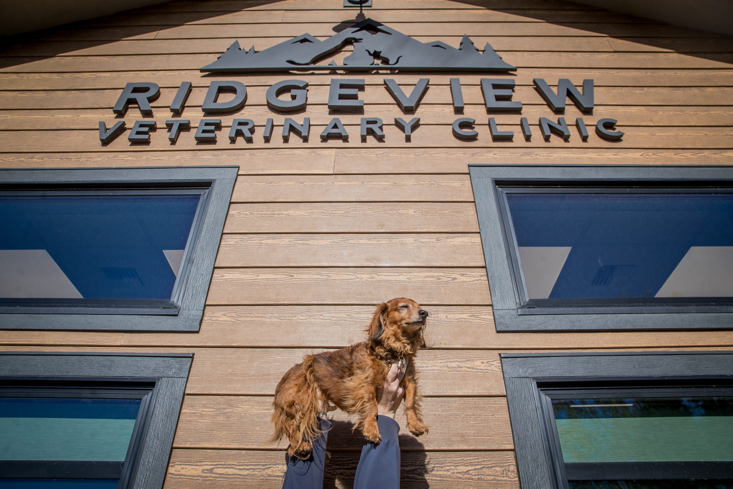 Ridgeview Vet Clinic